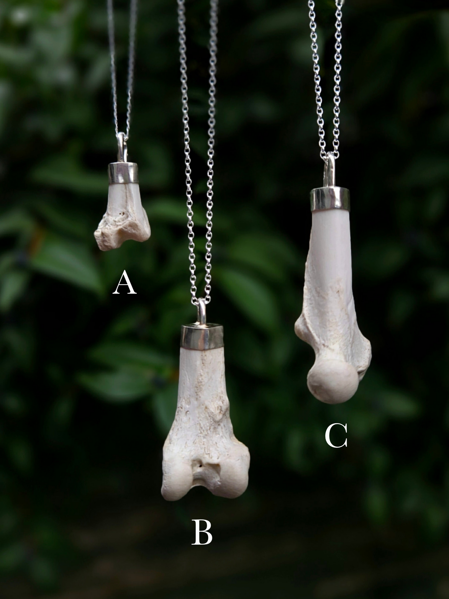 Fox bone pendants in 925 Sterling silver (pendant only)