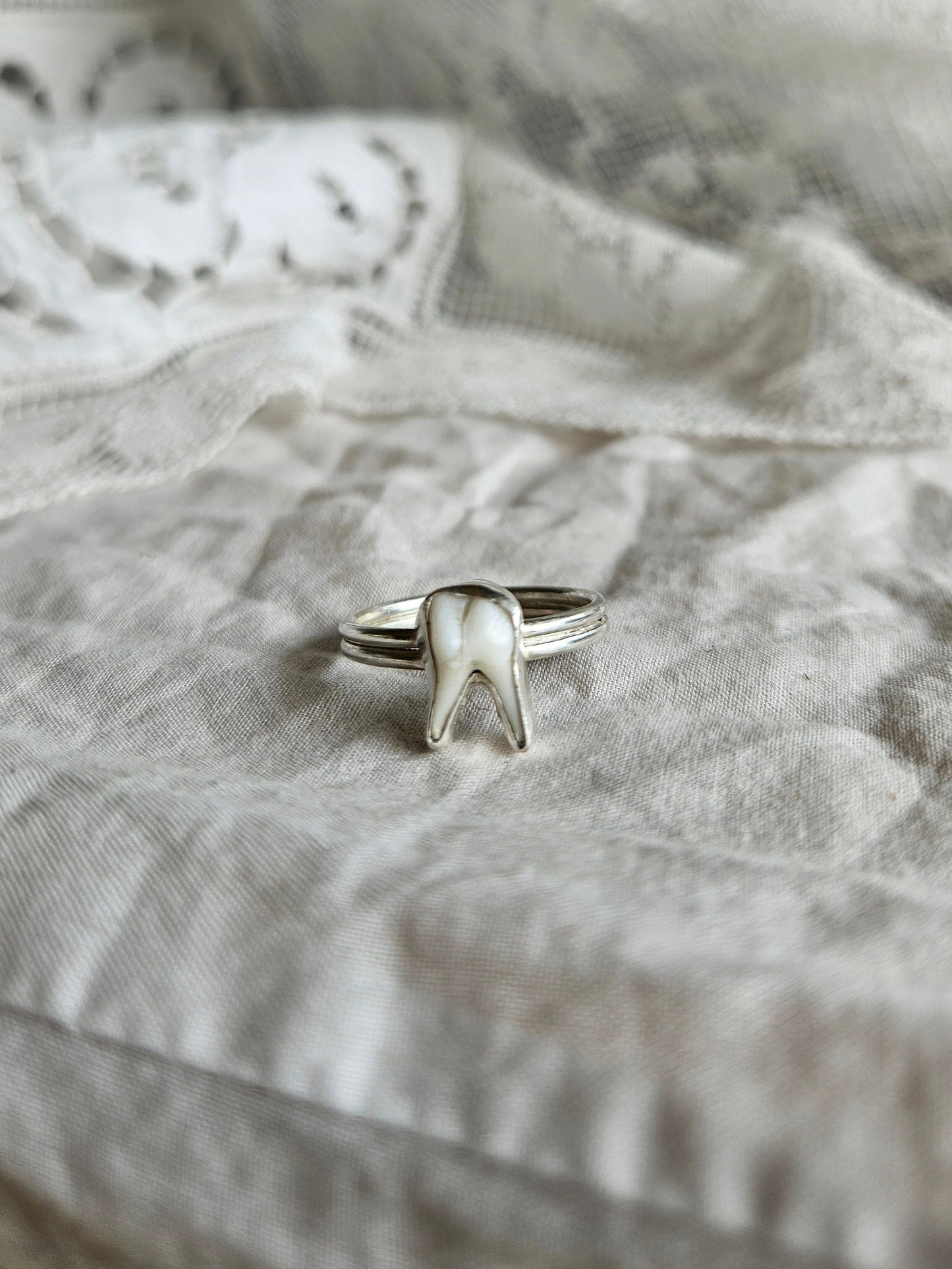 Muntjac Tooth Ring - Sterling Silver