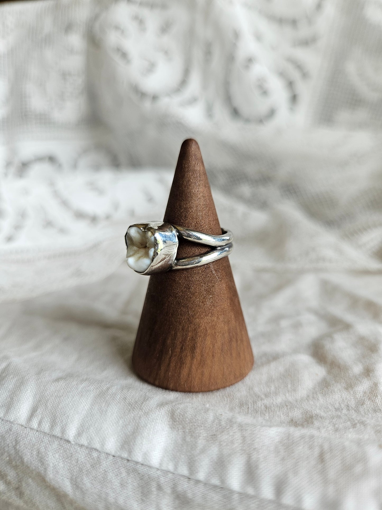 Human Tooth Ring - Sterling Silver