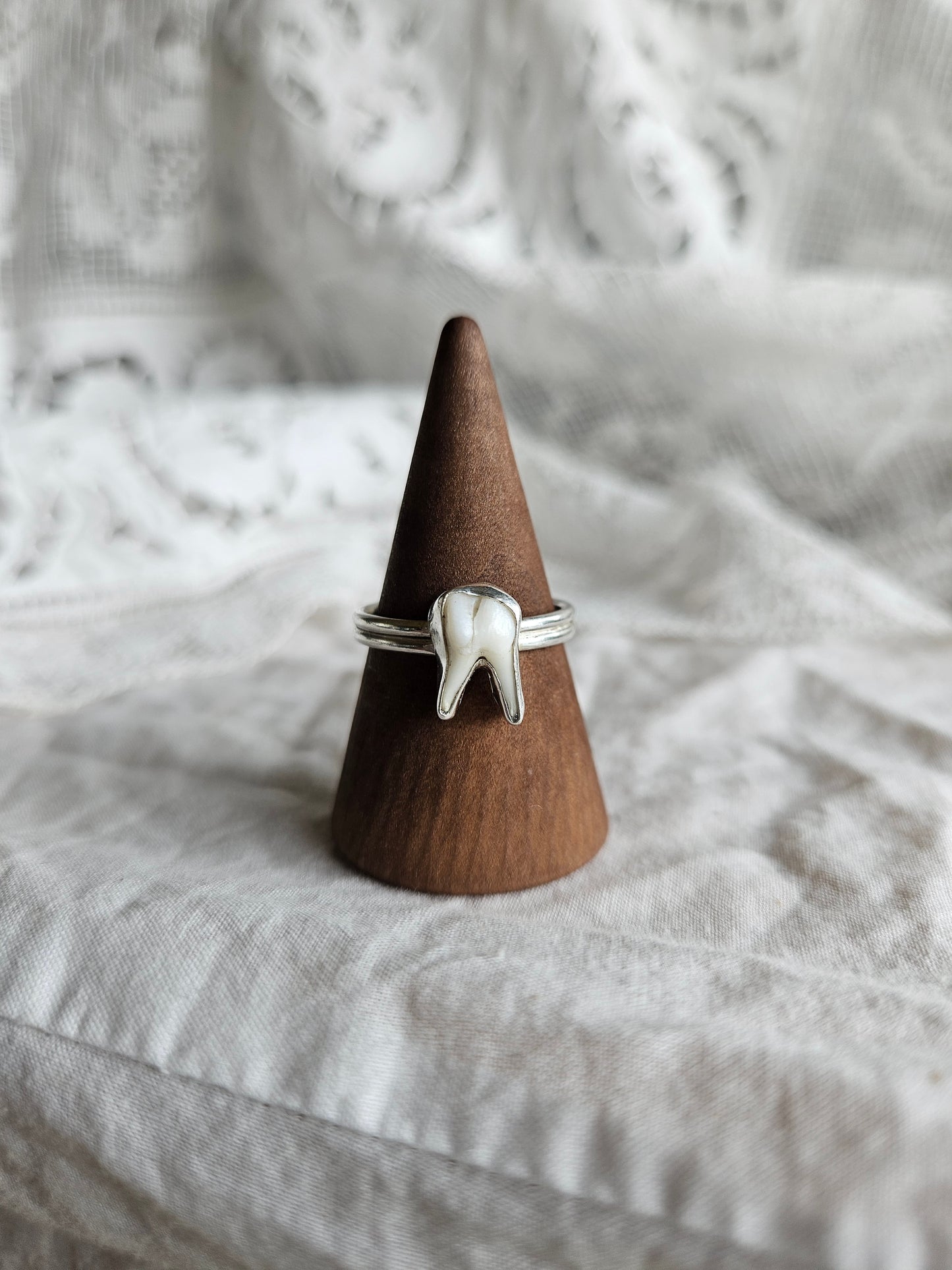 Muntjac Tooth Ring - Sterling Silver