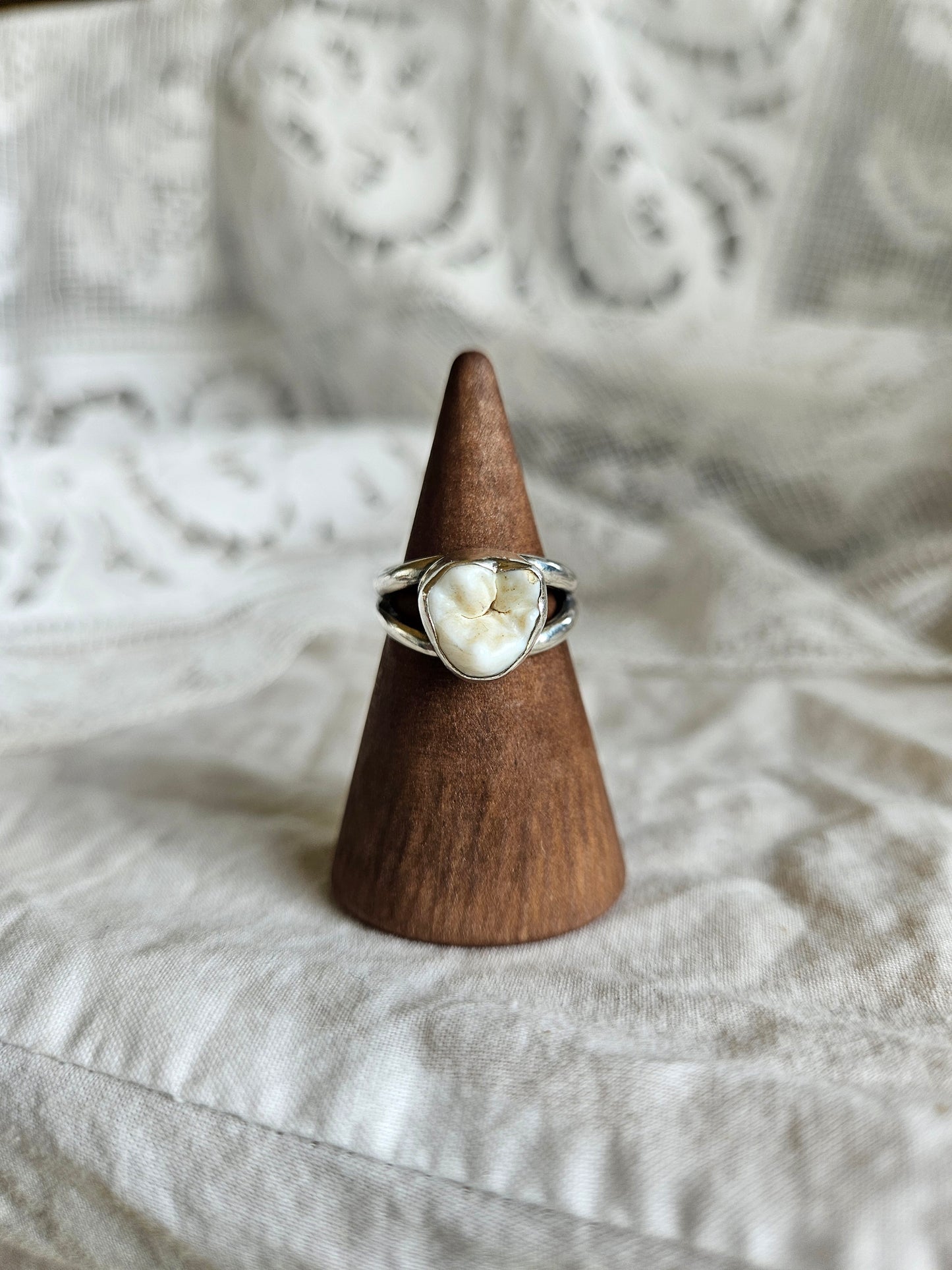 Human Tooth Ring - Sterling Silver