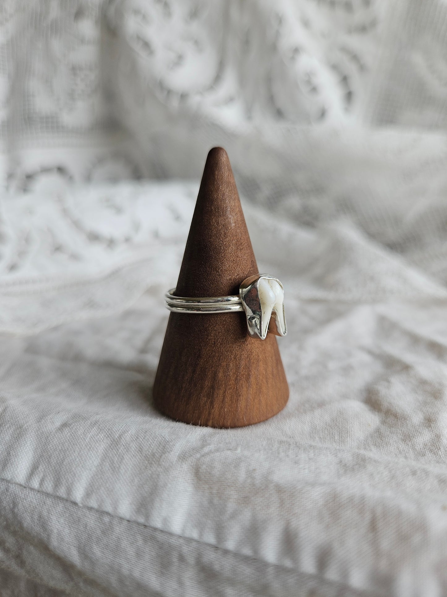 Muntjac Tooth Ring - Sterling Silver